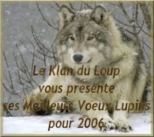 loup voeux 2006