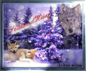 solstice_hiver_loup
