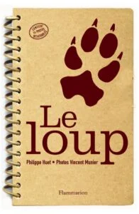 pays_reel_aime_loup