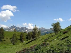Vallon_de_Mollières_louve