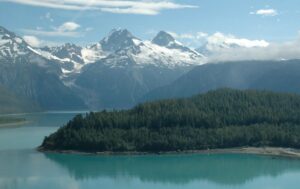 loup_alaska