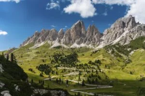 loup_paysages_alpins