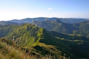 loup_cantal