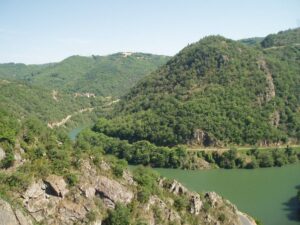 loup_tarn