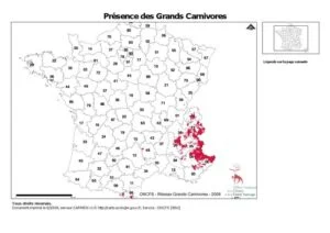 carte_loup_france