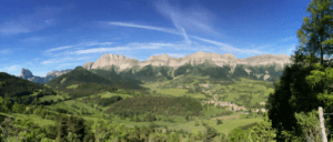 vercors_loup
