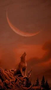 loup_lune