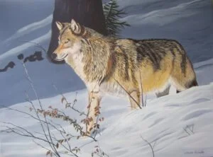 Dessin d'un loup dans la neige.