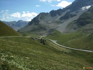 loup_lautaret_hautes-alpes