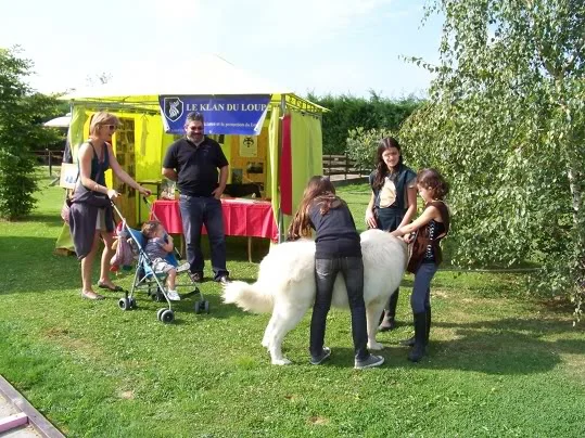 grande-journee-loup-france-2010-3