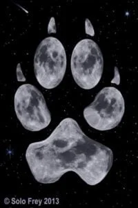 empreinte_loup