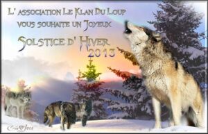loup solstice hiver 2013