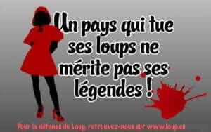 Illustration représentant un Petit Chaperon rouge, avec le texte : "Un pays qui tue ses loups ne mérite pas ses légendes !"