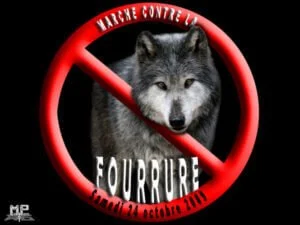 marche_contre_fourrure_loup