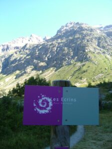 parc_ecrins_loup