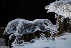 Photographie de deux loups sculptés dans la glace.