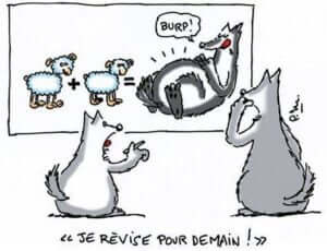 rentree_des_classes_loup
