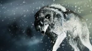 Illustration d'un loup gris sous la neige.