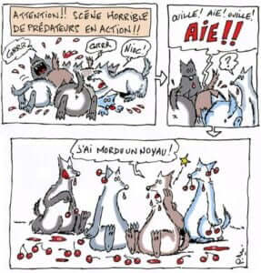 Dessin humoristique de loups commettant un carnage de cerises.