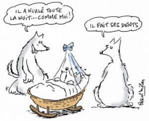dessin_bebe_loup