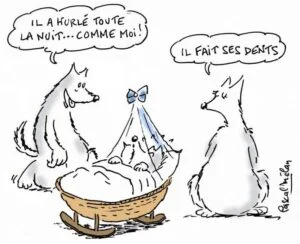 dessin_bebe_loup