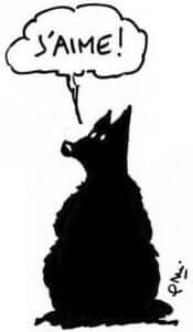 loup_cvn
