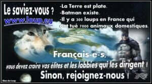Manipulations des anti-loups