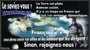 Manipulations des anti-loups