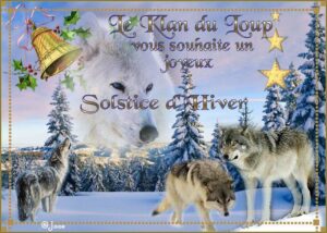 loup-solstice-hiver
