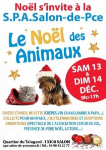 loup-noel-animaux-salon