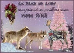 voeux-lupins-2015