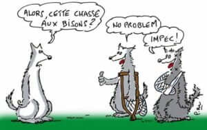 dure-vie-loup