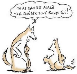 humour-loup-mouton-dessin