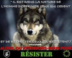 loup-resister