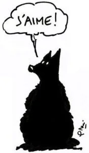 wolf-likeloup-noir