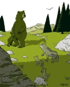 loup-ours-ernesse