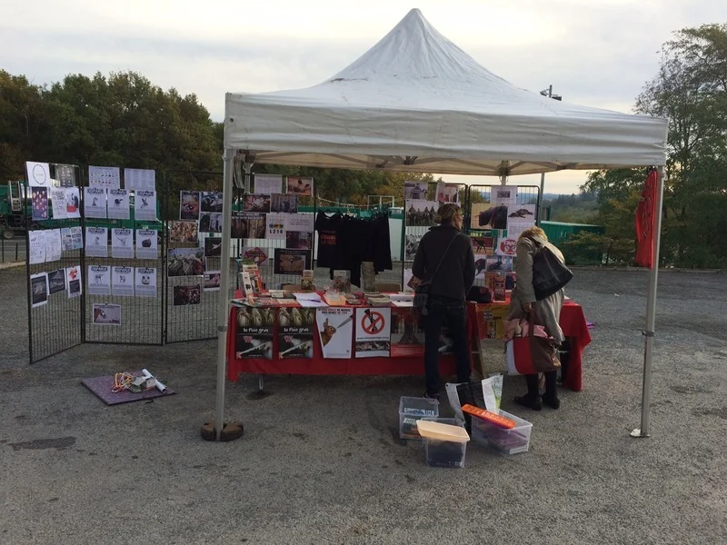 loup-brive
