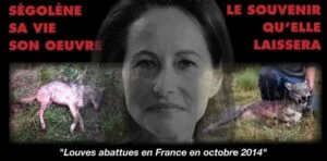 segolene_royal_tueuse_loup