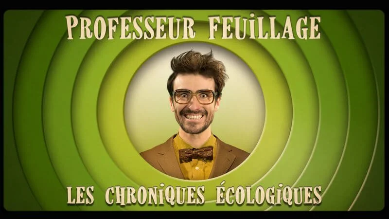professeur-feuillage