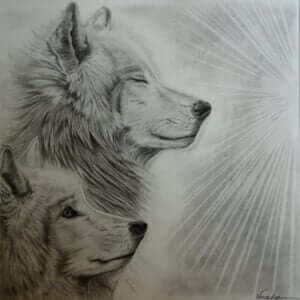 dessin-loup-virshan