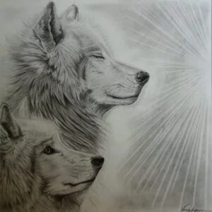 dessin-loup-virshan