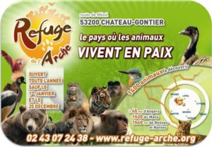 refuge-arche-klan-loup