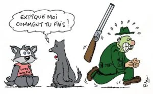 lupo-wolfie-pascal-melan-klan-du-loup
