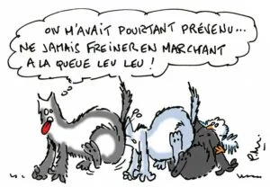 leu-humour-lupin-loup
