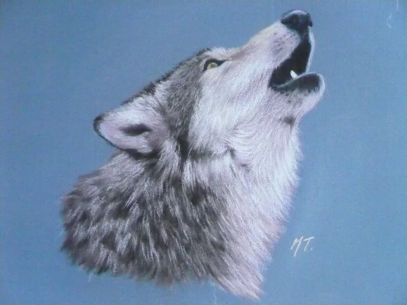 howling-loup-monique-trolliet