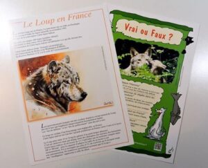 plaquettes-infos-loup