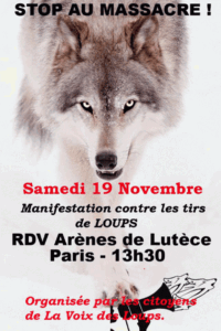 Affiche de la manifestation contre les tirs à tuer les loups, le 19 novembre 2016, à Paris.