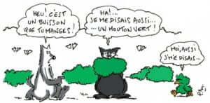 klan-loup-lupin