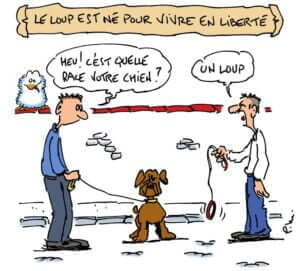 klan-loup-liberte
