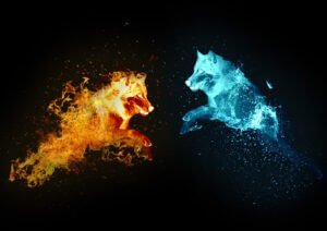 loup-lumiere-feu